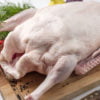 Free Range Goose