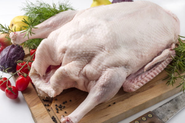 Free Range Goose