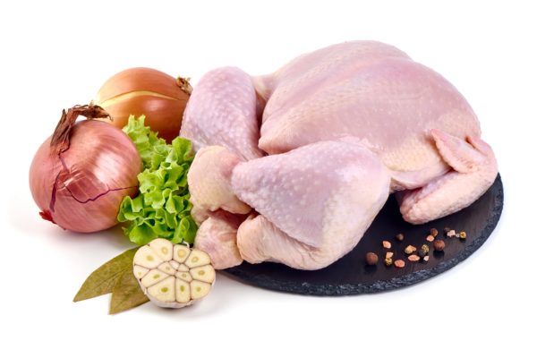 Free Range Rooster